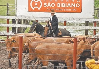 Seleção de Antoninho Bastos em pista nesta quinta (04/11)