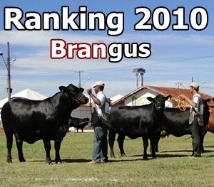 ABB divulga resultado do ranking nacional 2010