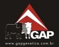 DIA DE CAMPO “A GAP E O BRANGUS”