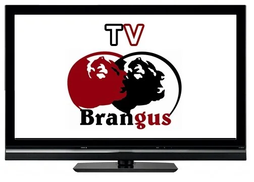 TV Brangus: Confira o vídeo do julgamento de Uruguaiana