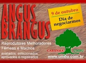 Cabanha Umbu Negocia: 09 de outubro, domingo