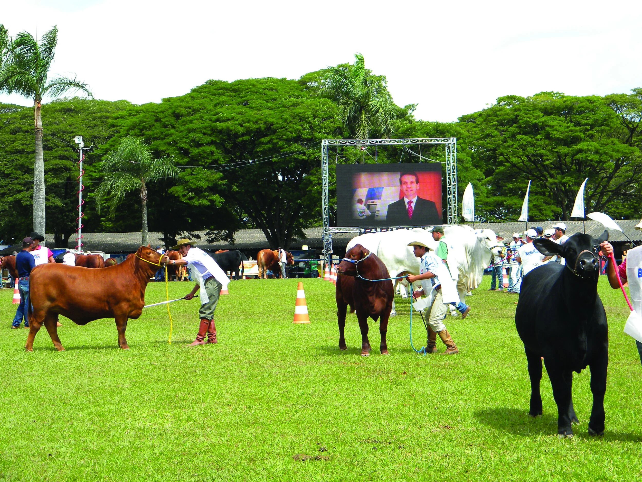 Jurado paraguaio atuou em Londrina