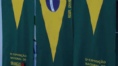 Brangus inova com faixas com a Bandeira brasileira