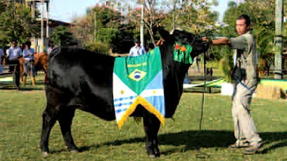 Expoutono de Uruguaiana