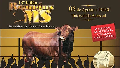 Campo Grande sedia o maior evento de vendas da raça em 2013 no MS