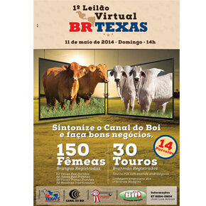 Não perca a oportunidade: 1º Leilão Virtual BrTexas
