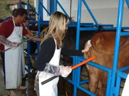 Criador aposta na biotecnologia para melhoria da produção pecuária