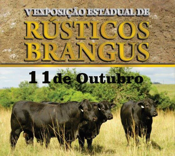 V Exposição Estadual de Rústicos Brangus