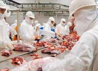Defesa Agropecuária fiscaliza rebanhos bovino e suíno no DF