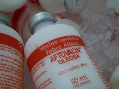 Estado de Roraima ganha status de risco médio para febre aftosa