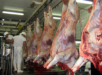 Aquecimento da demanda externa eleva exportação de carne bovina em MT