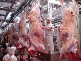 Exportação de carne a árabes cresce até 63% e é recorde no 1º trimestre de 2014