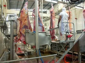 Frigoríficos de Rondônia exportam carne para Cuba