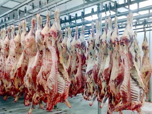 Carnes: Rússia habilita novos frigoríficos brasileiros