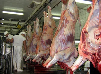 Vaca Louca: Peru embarga carne bovina brasileira por 180 dias