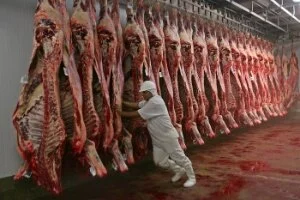 Missão do México vistoria frigoríficos brasileiros
