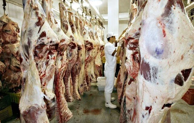 ES: vacinação contra aftosa favorece mercado para carne bovina