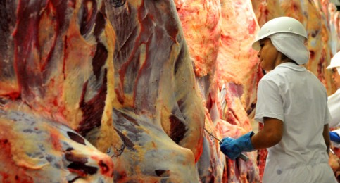 Carne brasileira ganha mercados e exportações têm alta de dois dígitos