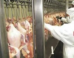 Malásia habilita oito frigoríficos brasileiros a exportar carne bovina