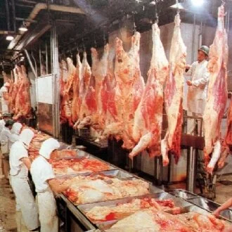Medida que prejudicaria frigoríficos é retirada de nova lei
