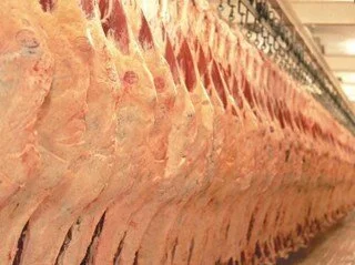 Definidas garantias para certificação oficial de carne bovina in natura