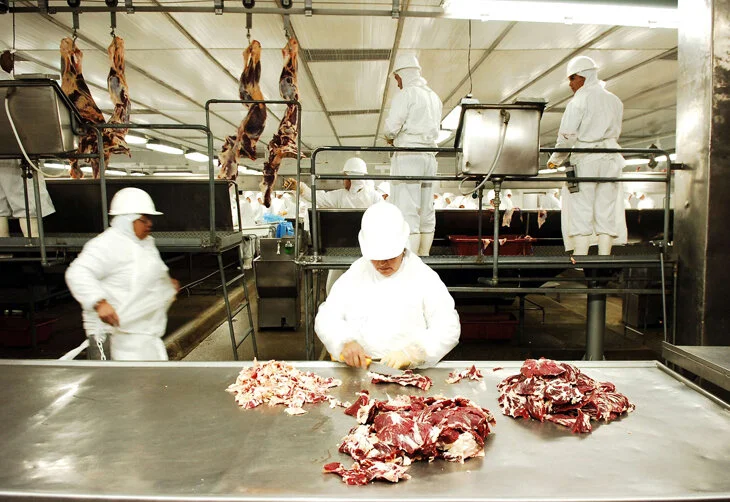 União Europeia fará auditoria para importar carne bovina brasileira