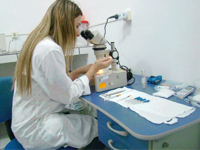 Melhoramento genético em bovinos cresce mais de 5% no país em 2013