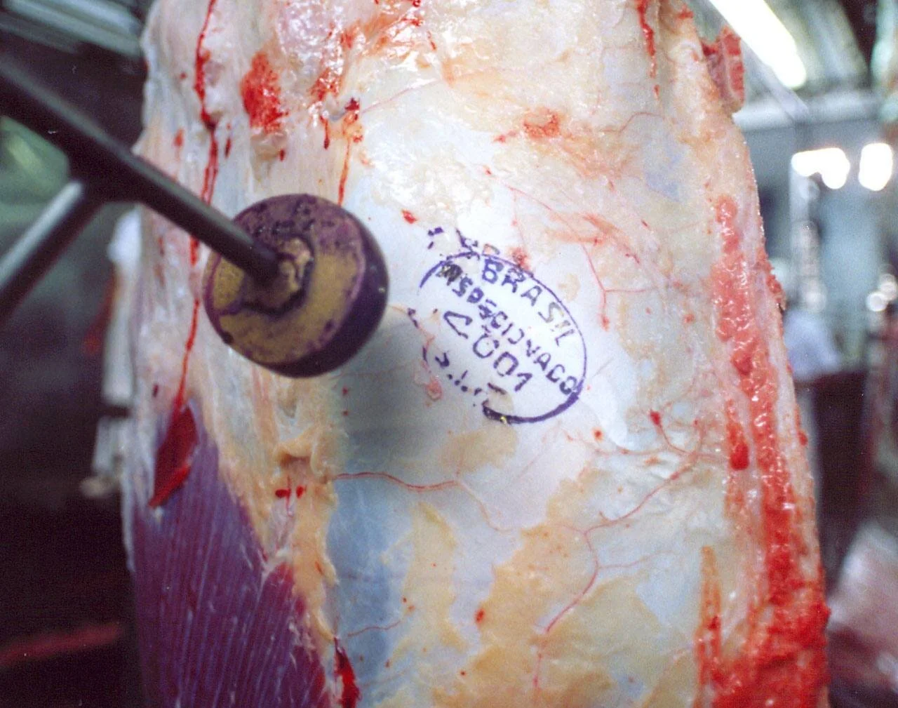 Rússia volta a ser maior consumidora da carne bovina de MT