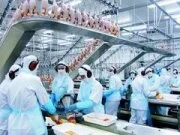 Aprovação com restrições é vista como "horroroso fim" pela BRF