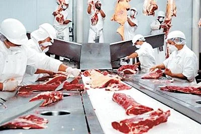 Marfrig culpa falta de boi e demite 280 no MS
