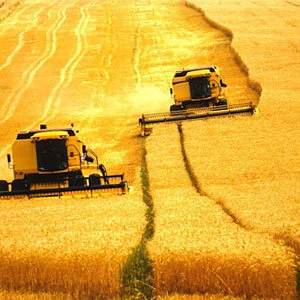 Para atender demanda internacional e nacional, área de plantio brasileira precisa crescer 28%