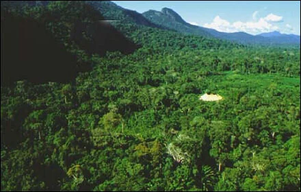 Proposta estabelece normas para certificação ambiental