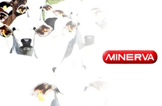 Frigorífico Minerva amplia aposta no mercado interno