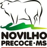 MS dá incentivo para produção de novilho precoce