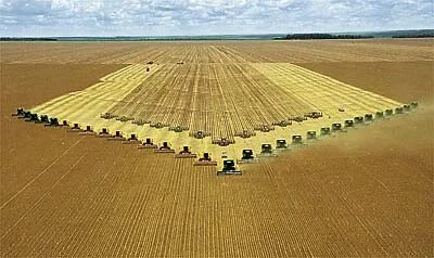 Exportações do agronegócio devem somar US$ 75 bilhões este ano