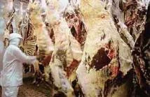 MT "Segura" Volume De Exportações De Carne