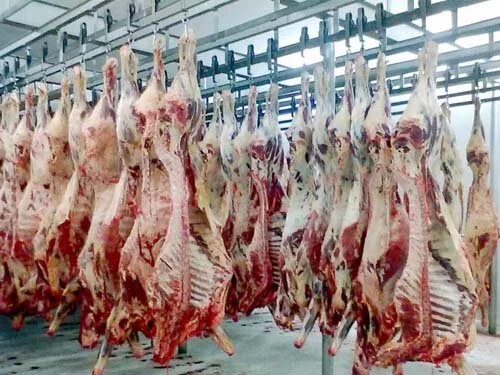Balanço Das Exportações De Carne Em Fevereiro