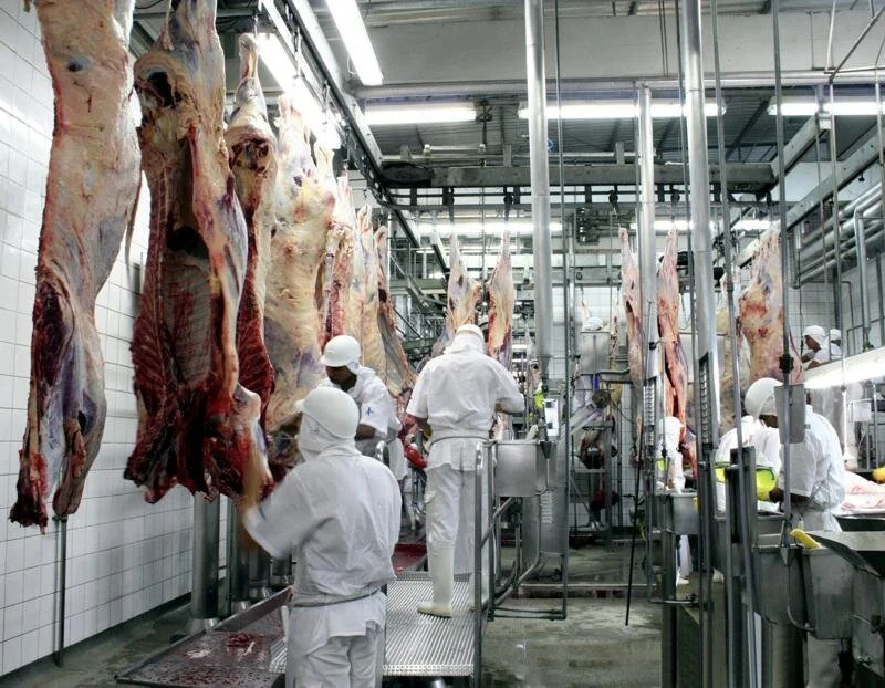 Prudução De Carne Deve Dobrar Até 2050