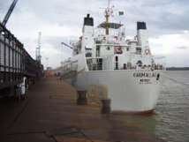 Exportações De Gado Em Pé Cresceram 24000%