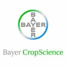 Bayer Sai Do Mercado De Vacinas Contra Aftosa