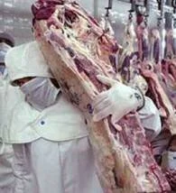 Expectativa das Exportações De Carne São Boas