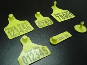 Mapa Modificará Regras Do Sisbov