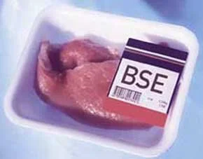 Europa Insiste Em Afirmar Que Controlou Vaca Louca