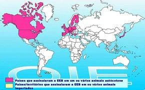 Regras Fiscalizadoras Para Rações de Ruminantes