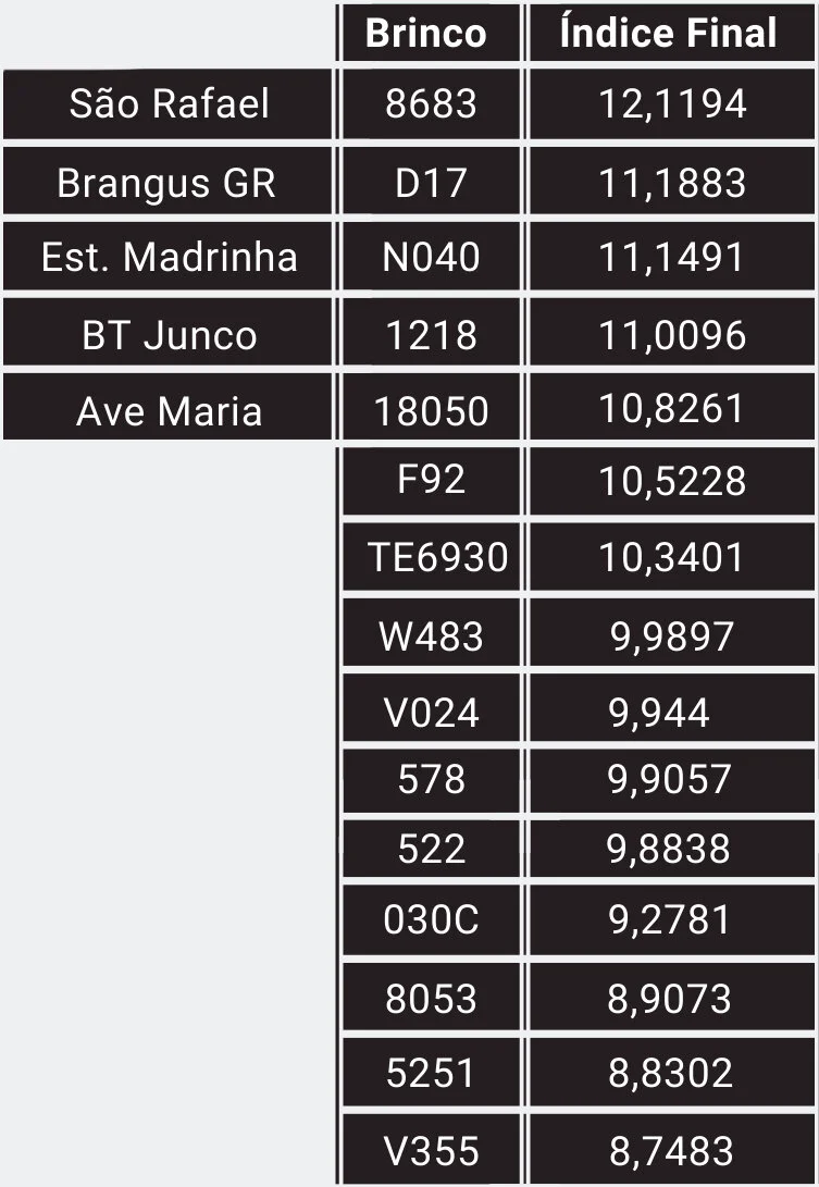 Convênio ABB e UFRGS