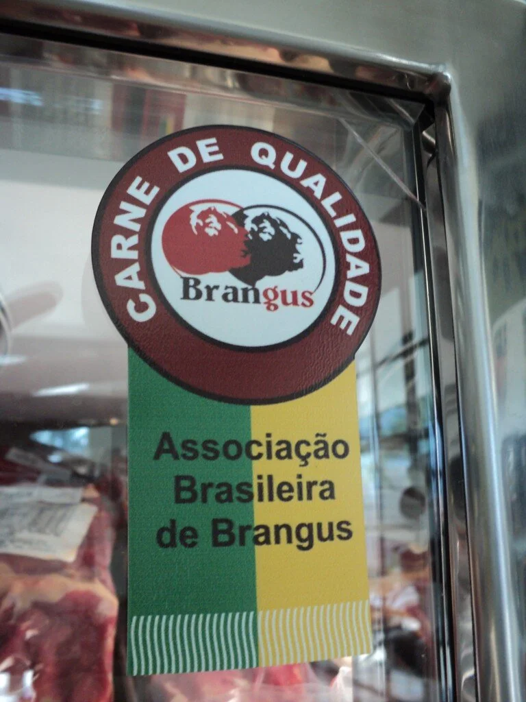 Brangus: combinação que produziu um animal capaz de se destacar nas diversas regiões do Brasil Brangus: combinação que produziu um animal capaz de se destacar nas diversas regiões do Brasil