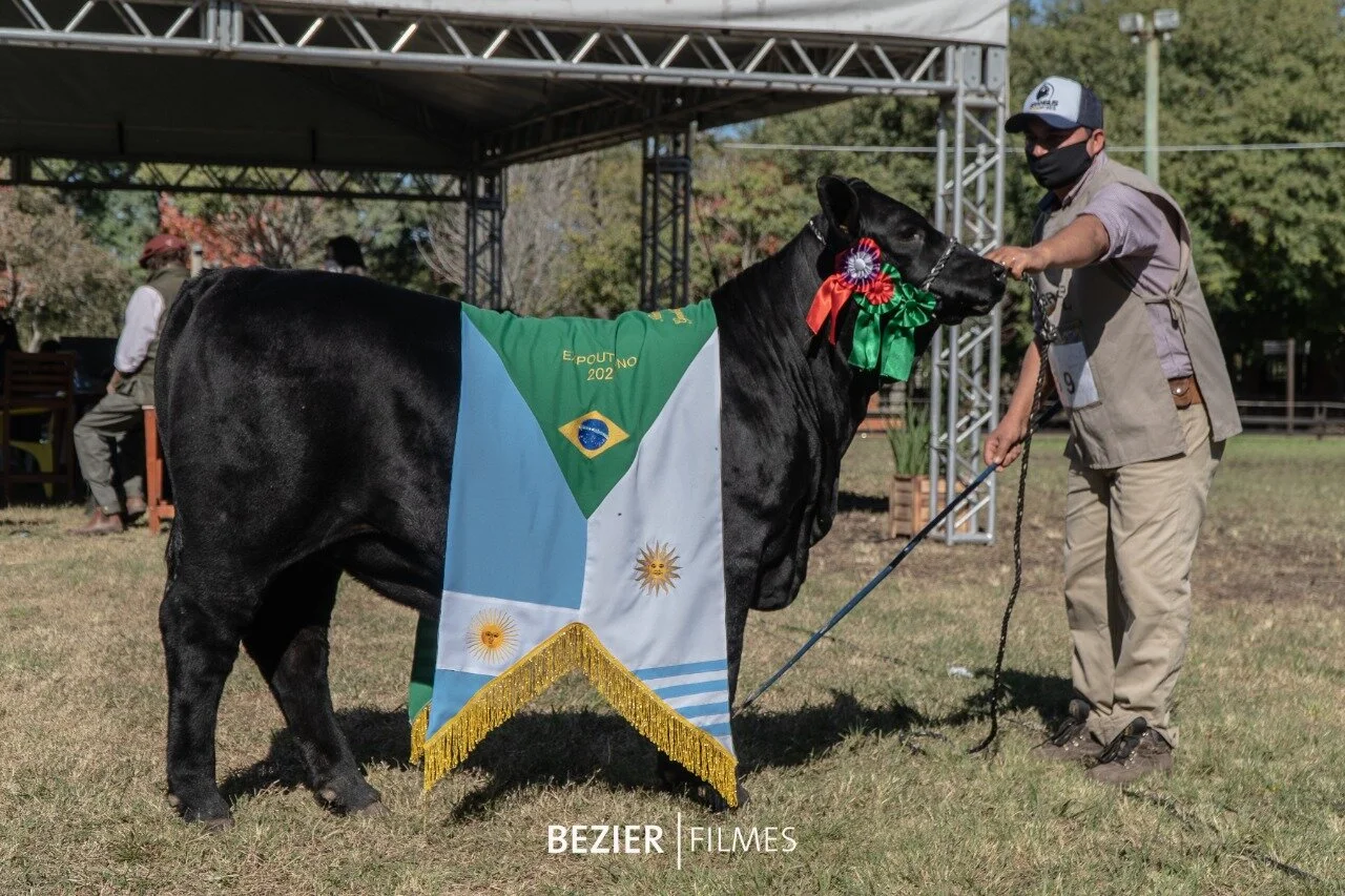  Reservada Grande Campeã Argola 