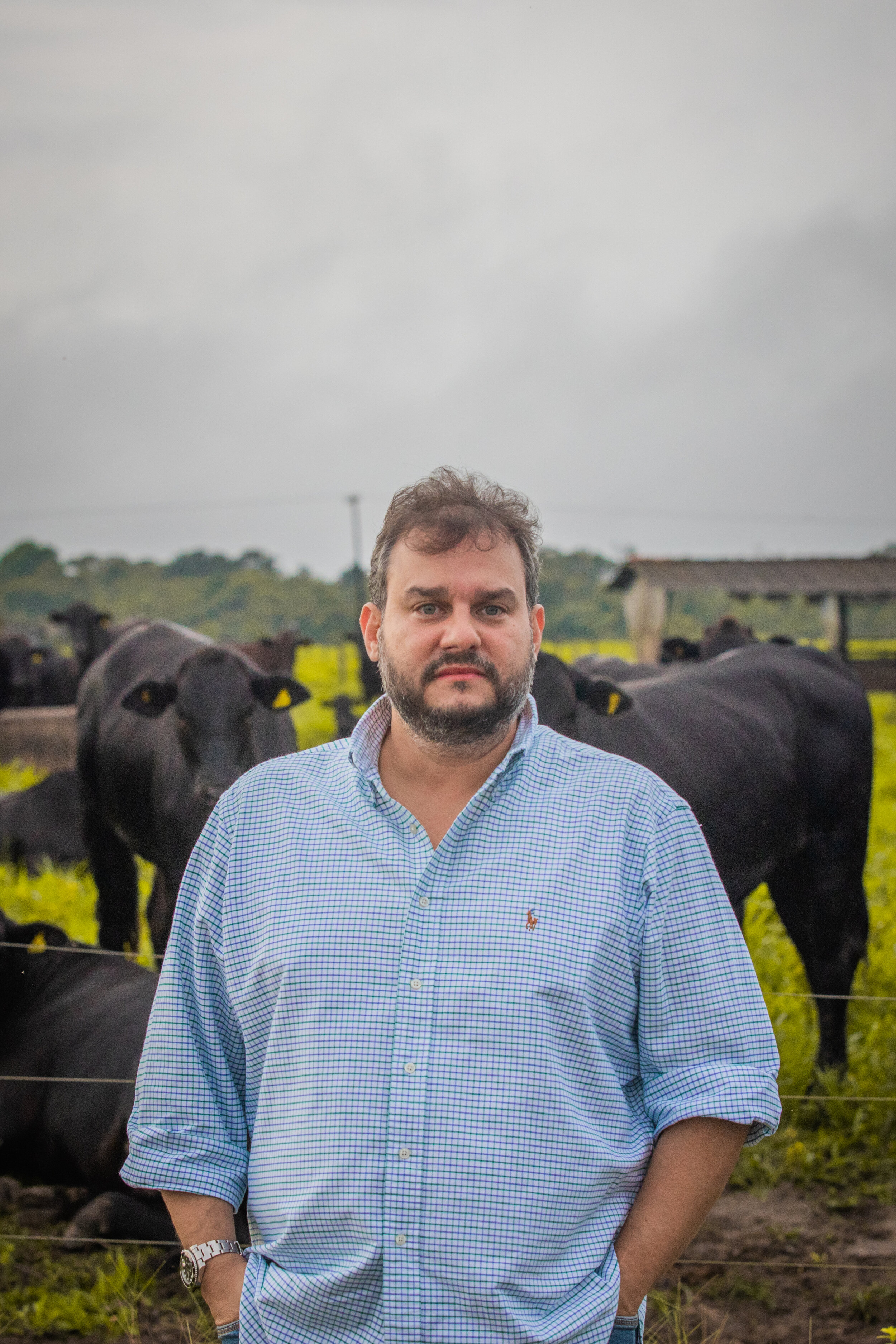 Raça Brangus é utilizada em fêmeas F1 para produção de carne premium Altair Burlamaqui, pecuarista da Fazenda Carioca (PA) - Foto: Igor Cordero