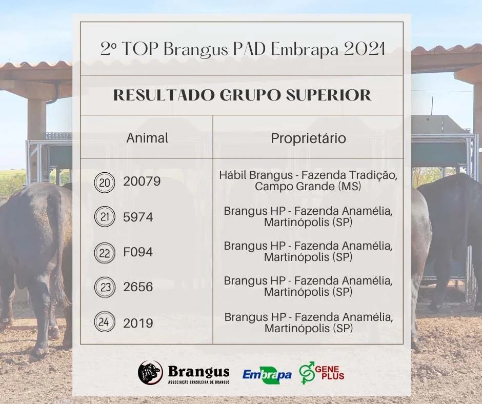 ABB e Programa Embrapa Geneplus divulgam vencedores da Prova Top Brangus Embrapa 2021