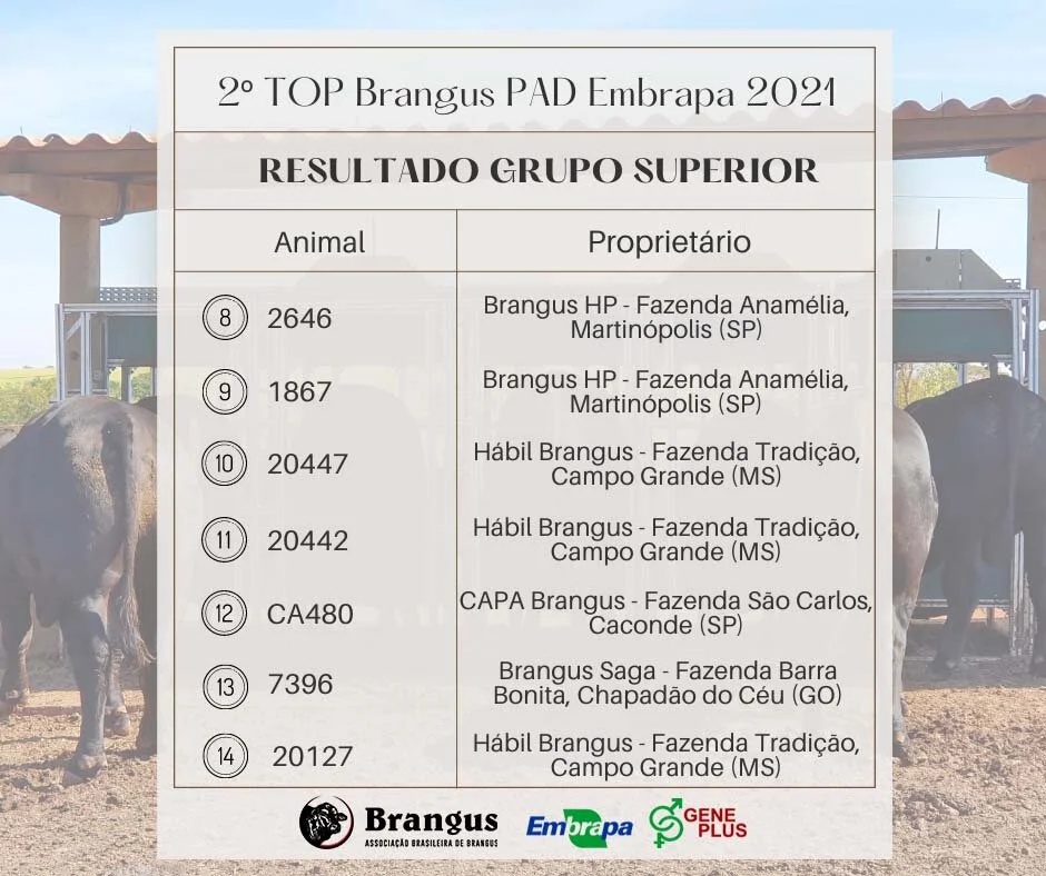ABB e Programa Embrapa Geneplus divulgam vencedores da Prova Top Brangus Embrapa 2021